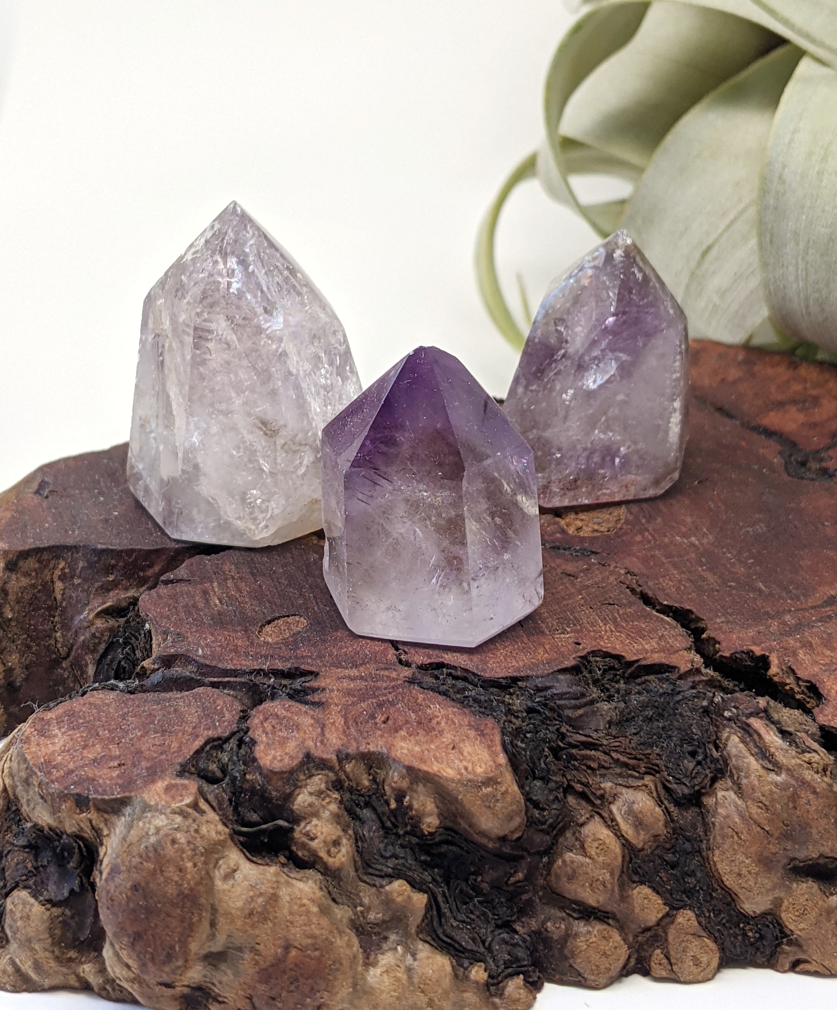 Amethyst Crystal Points| Healing Crystals | Chakra Stones | Worry Stone | Palm Stone | Heart Stone | Crystal Gifts