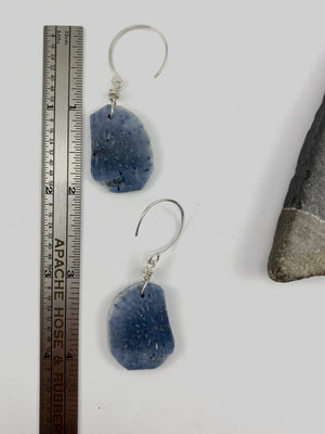 Rachel_dawn_designs_blue_sponge_coral_slice_earrings_Sterling_silver