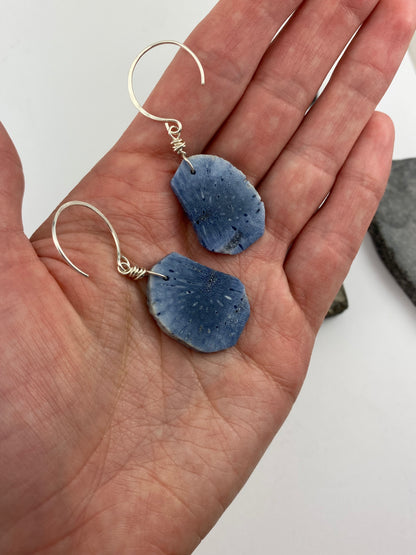 Rachel_dawn_designs_blue_sponge_coral_slice_earrings_Sterling_silver